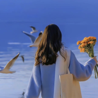 用户KEVAN对蜜蜂VPN加速器表示非常满意。