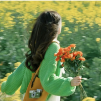 蜜蜂VPN加速器的iOS版VPN用户shiya表示非常满意蜜蜂VPN加速器的iOS版VPN。